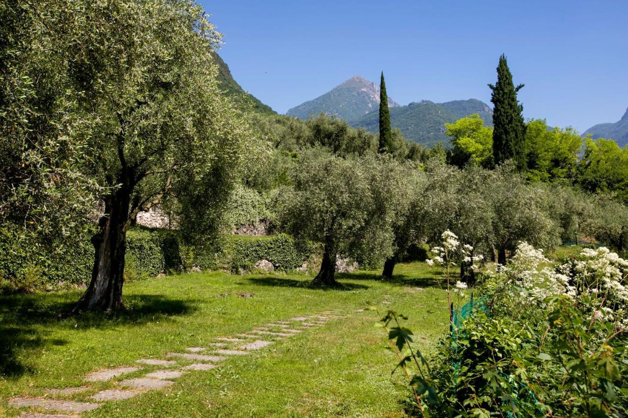 Casa O-Live Leilighet Riva del Garda Eksteriør bilde